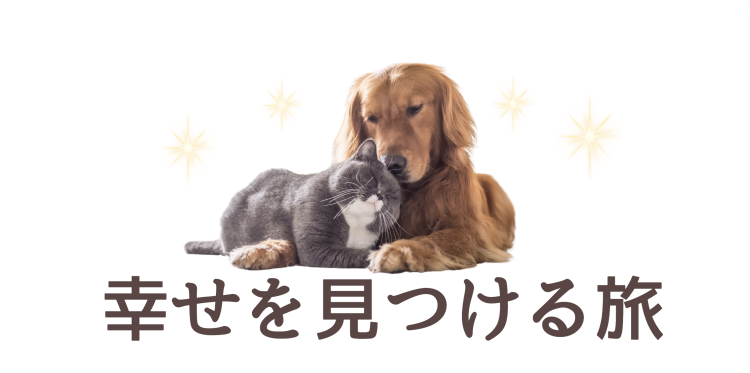 カワイイがいっぱい！ワンダーランド